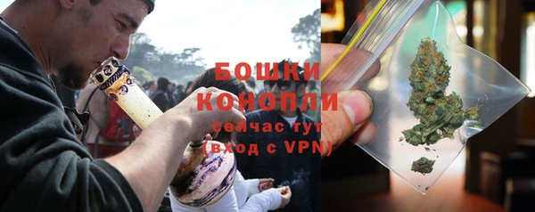 прущие грибы Беломорск