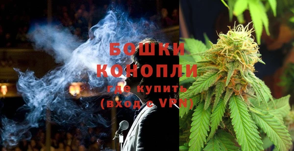 прущие грибы Беломорск