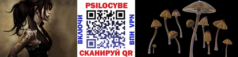 Галлюциногенные грибы GOLDEN TEACHER  гидра ONION  Макаров 